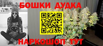СК Славгород