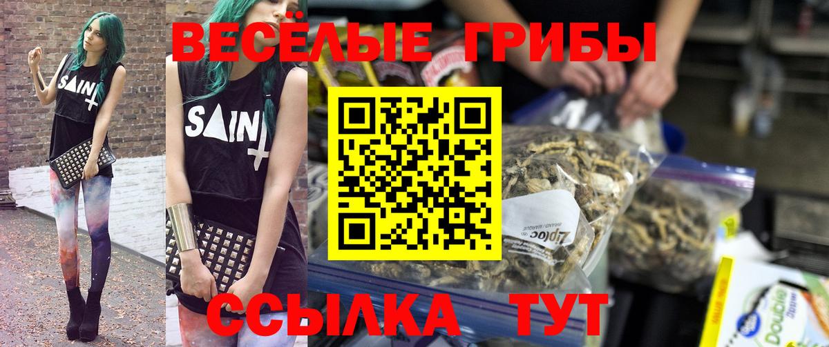 Галлюциногенные грибы Magic Shrooms  Вход с VPN  где продают наркотики  Ачхой-Мартан 